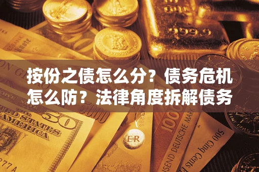 武汉按份之债怎么分？债务危机怎么防？法律角度拆解债务分配与风险自保指南