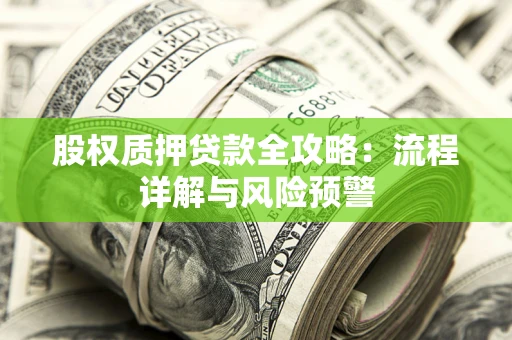 武汉股权质押贷款全攻略：流程详解与风险预警