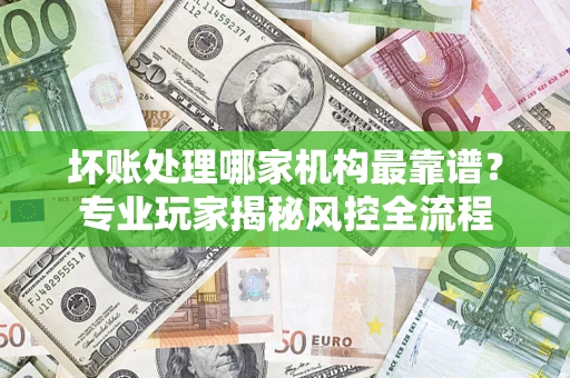 武汉坏账处理哪家机构最靠谱？专业玩家揭秘风控全流程
