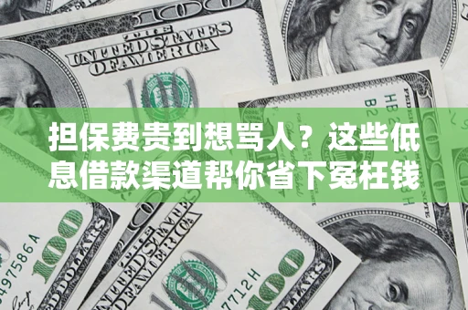 武汉担保费贵到想骂人？这些低息借款渠道帮你省下冤枉钱