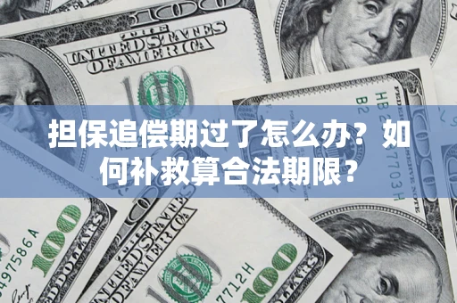 武汉担保追偿期过了怎么办？如何补救算合法期限？