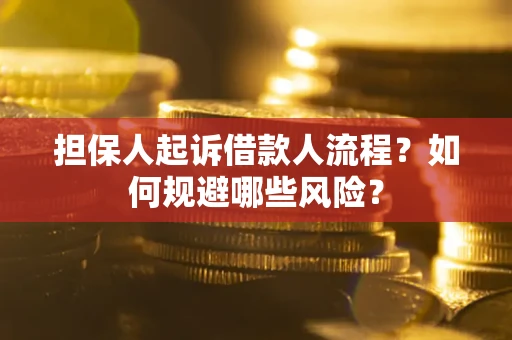 武汉担保人起诉借款人流程？如何规避哪些风险？