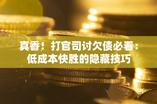 武汉真香！打官司讨欠债必看：低成本快胜的隐藏技巧