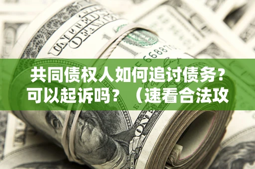 武汉共同债权人如何追讨债务？可以起诉吗？（速看合法攻略）