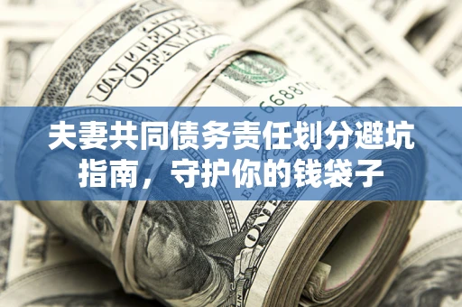 武汉夫妻共同债务责任划分避坑指南，守护你的钱袋子