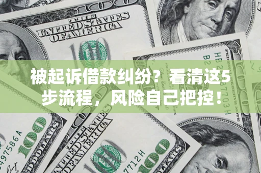 武汉被起诉借款纠纷？看清这5步流程，风险自己把控！
