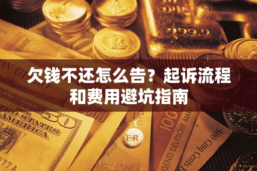 武汉欠钱不还怎么告？起诉流程和费用避坑指南