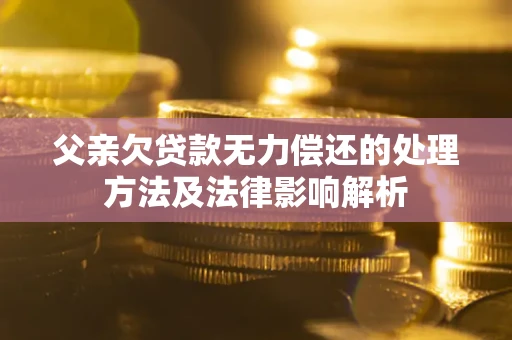 武汉父亲欠贷款无力偿还的处理方法及法律影响解析