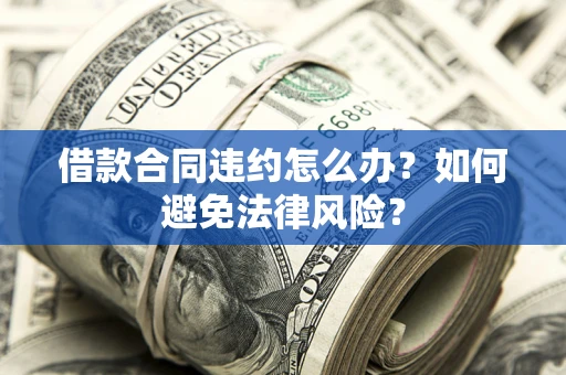 武汉借款合同违约怎么办？如何避免法律风险？