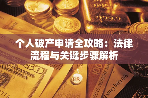 武汉个人破产申请全攻略：法律流程与关键步骤解析