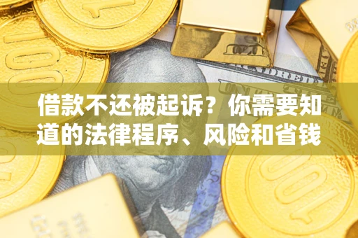 武汉借款不还被起诉？你需要知道的法律程序、风险和省钱技巧