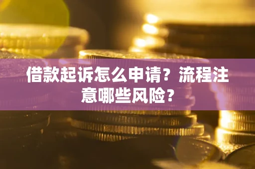 武汉借款起诉怎么申请？流程注意哪些风险？