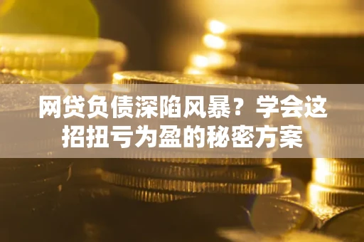 武汉网贷负债深陷风暴？学会这招扭亏为盈的秘密方案