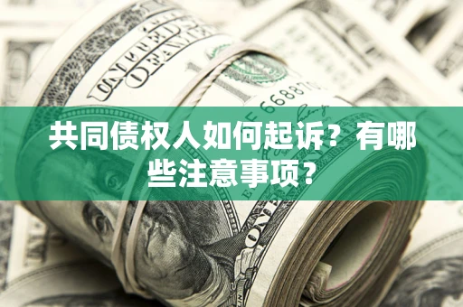武汉共同债权人如何起诉？有哪些注意事项？