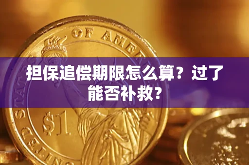 武汉担保追偿期限怎么算？过了能否补救？